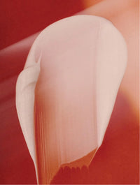 Age Defy Day Cream